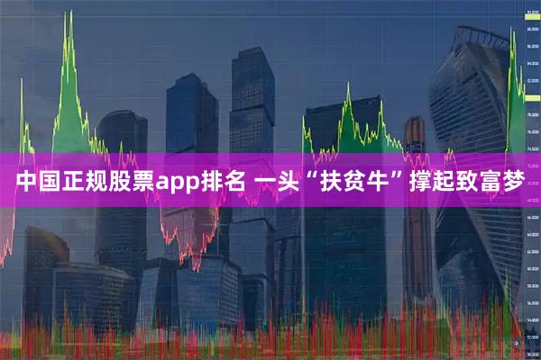 中国正规股票app排名 一头“扶贫牛”撑起致富梦