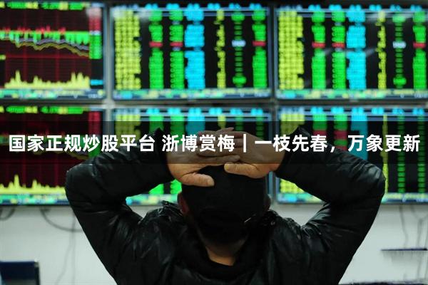 国家正规炒股平台 浙博赏梅｜一枝先春，万象更新